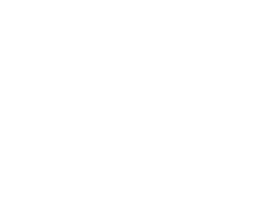 npx-logo